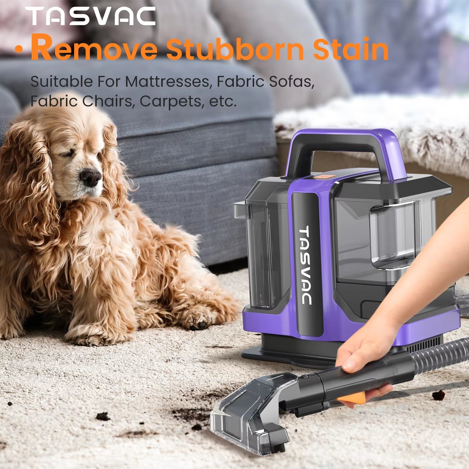 TASVAC C7 Portable Carpet & Upholstery Cleaner Machine for Pets, Stairs, Couch Area Rugs, Upholstery, Car Seat